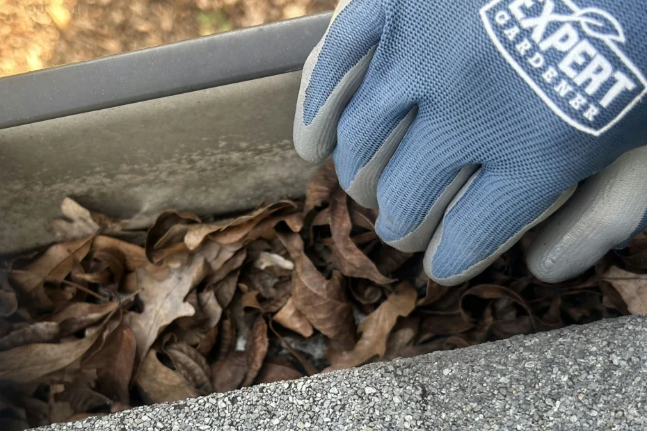 Gutter Cleaning St. Ann