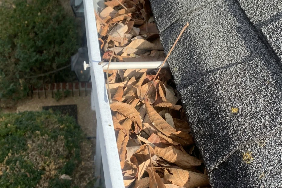 Gutter Cleaning St. Ann