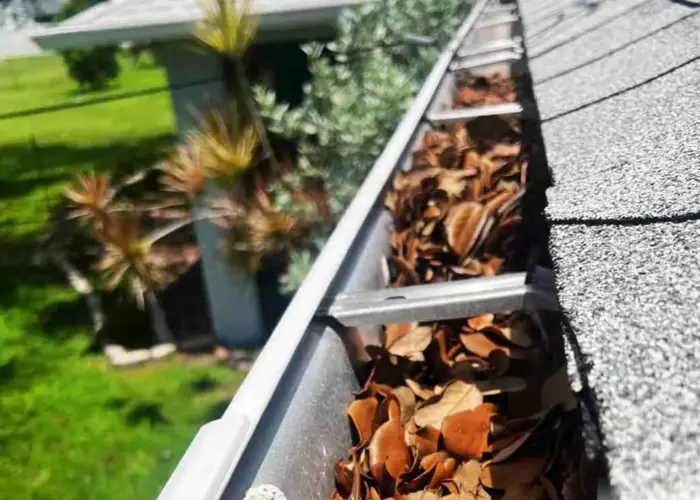 Gutter Cleaning St. Ann home page